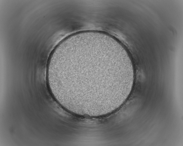 X0000111901220200909071129