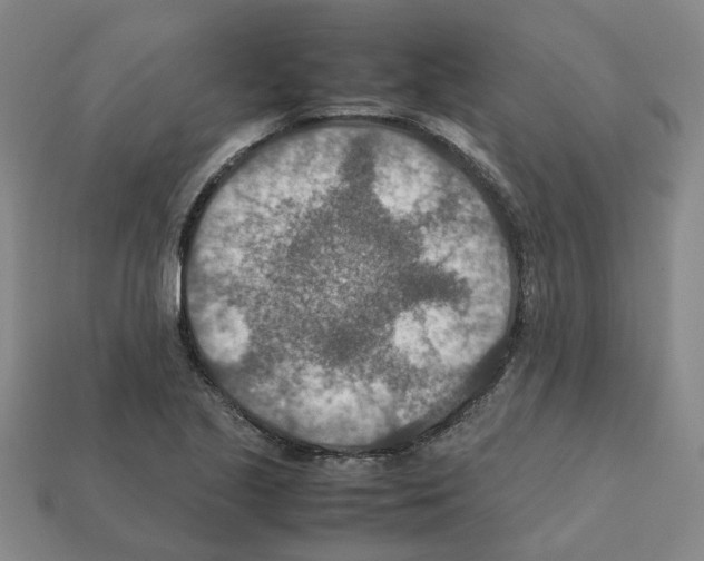 X0000111901221200909071129