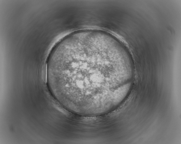 X0000111901223200909071129