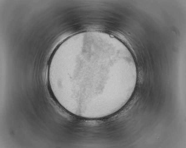 X0000111901227200909071129