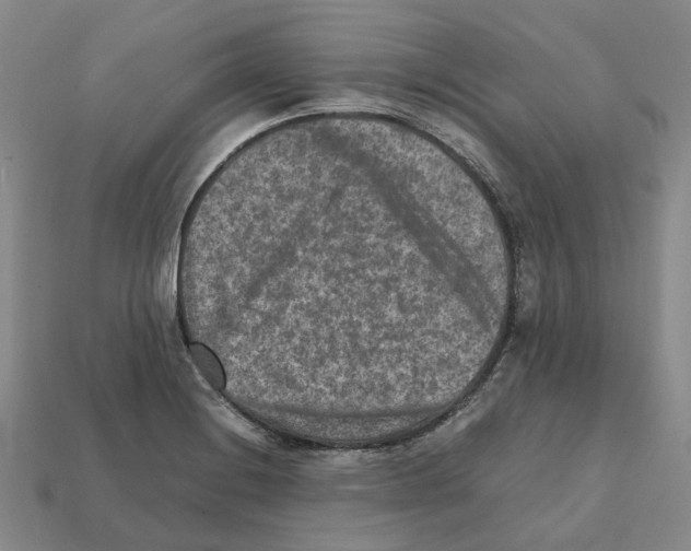 X0000111901228200909071129