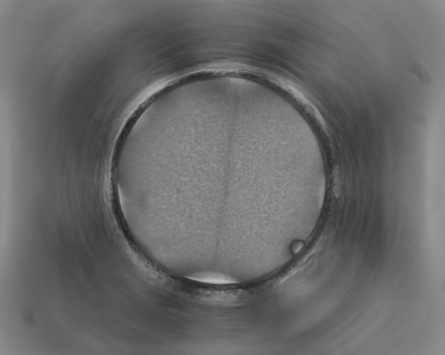 X0000111901229200909071129