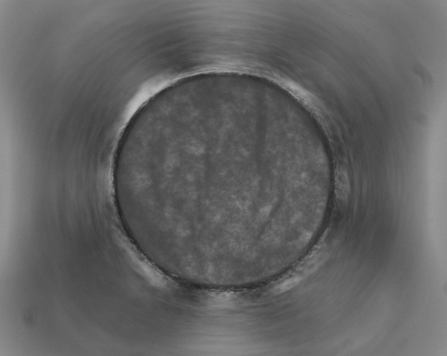 X0000111901230200909071129