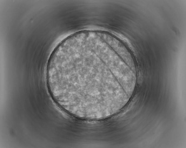 X0000111901231200909071129