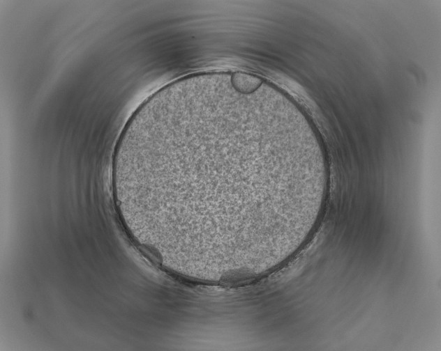 X0000111901234200909071129