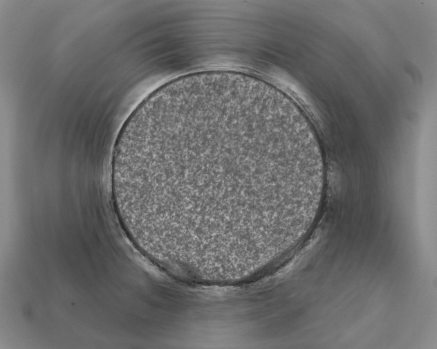 X0000111901236200909071129