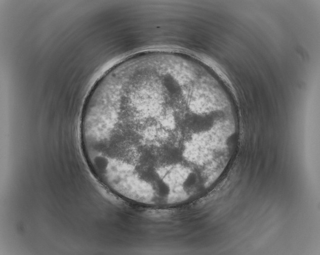 X0000111901237200909071129