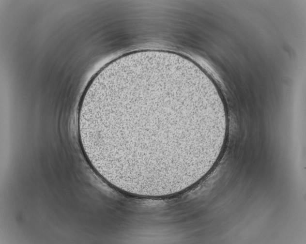 X0000111901238200909071129