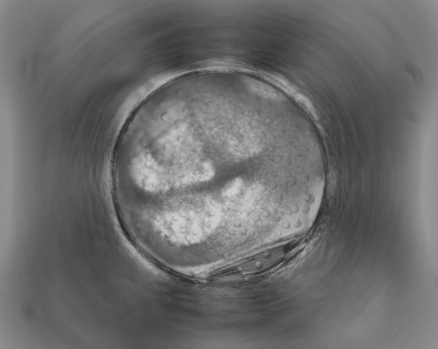 X0000111901239200909071129