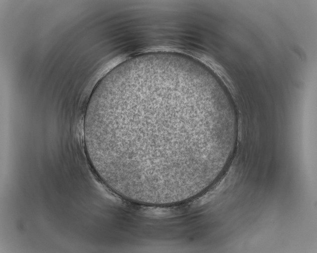 X0000111901241200909071129