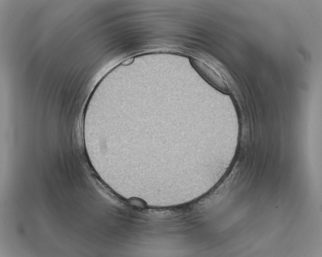 X0000111901242200909071129