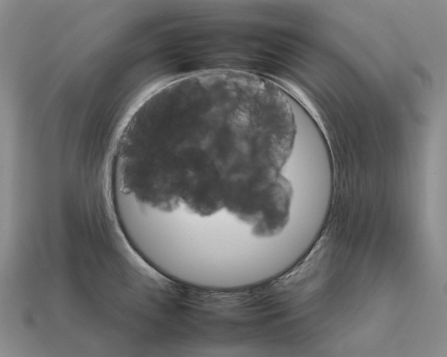 X0000111901243200909071129