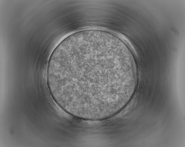 X0000111901244200909071129