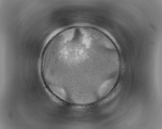 X0000111901245200909071129