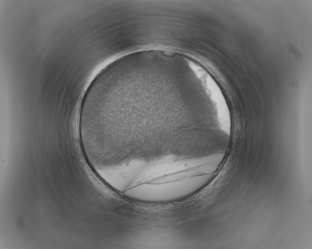 X0000111901246200909071129