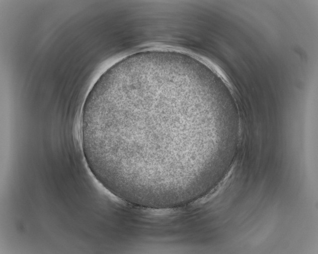 X0000111901247200909071129