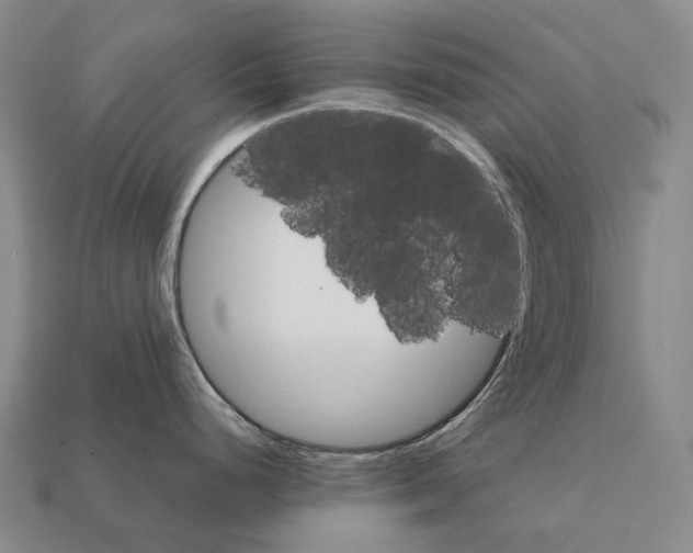 X0000111901248200909071129