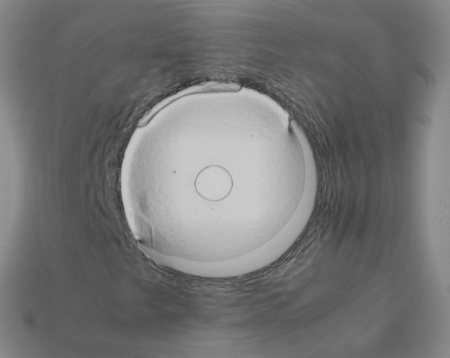 X0000111901249200909071129