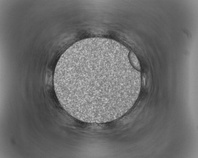 X0000111901251200909071129