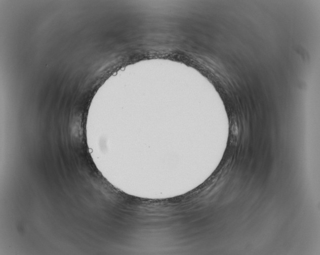 X0000111901252200909071129