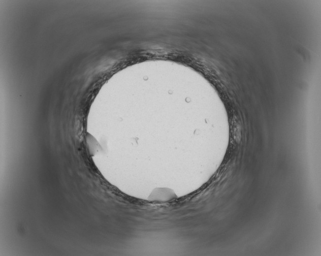 X0000111901253200909071129