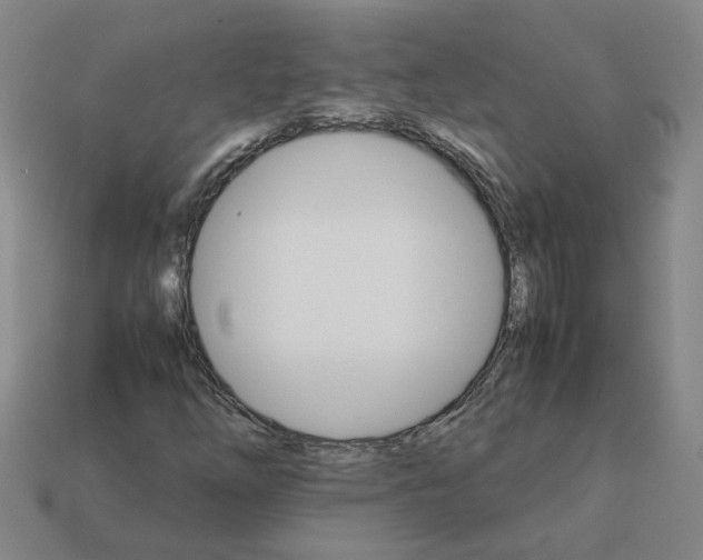 X0000111901254200909071129