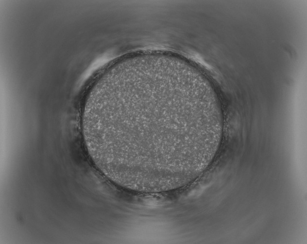 X0000111901255200909071129