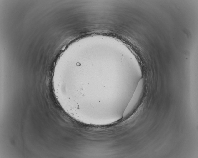 X0000111901257200909071129