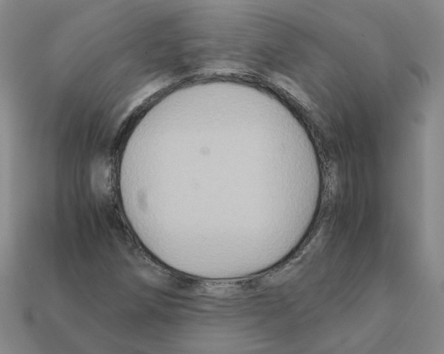 X0000111901258200909071129