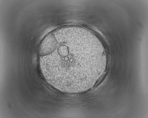 X0000111901259200909071129