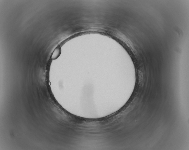 X0000111901260200909071129