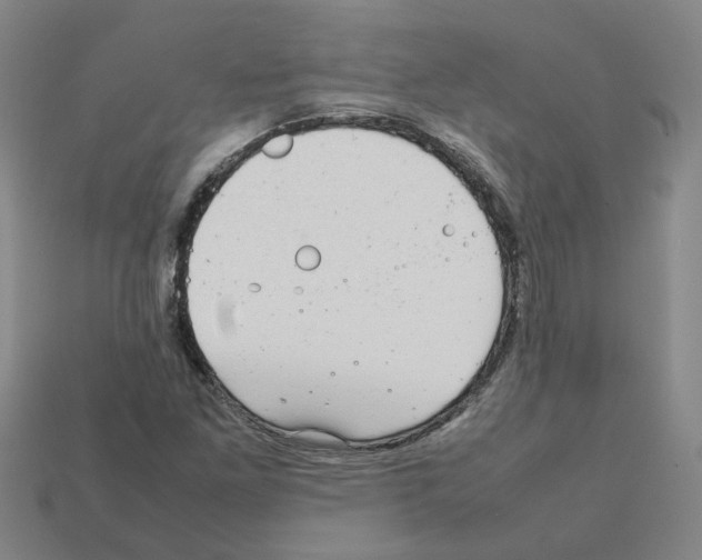 X0000111901261200909071129