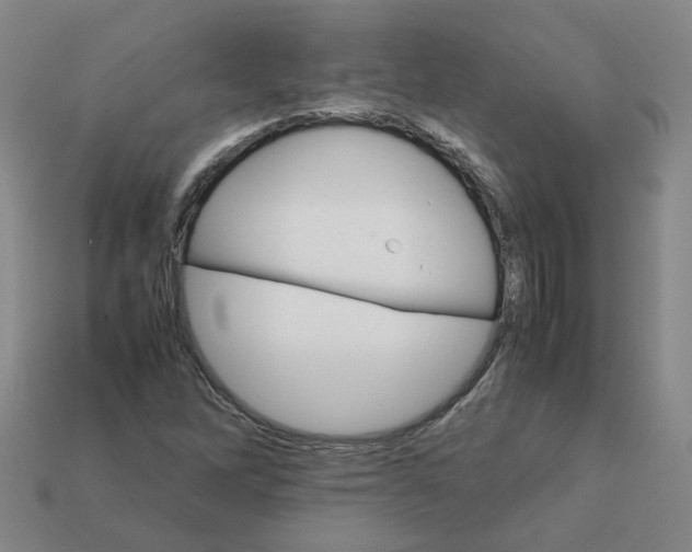 X0000111901262200909071129