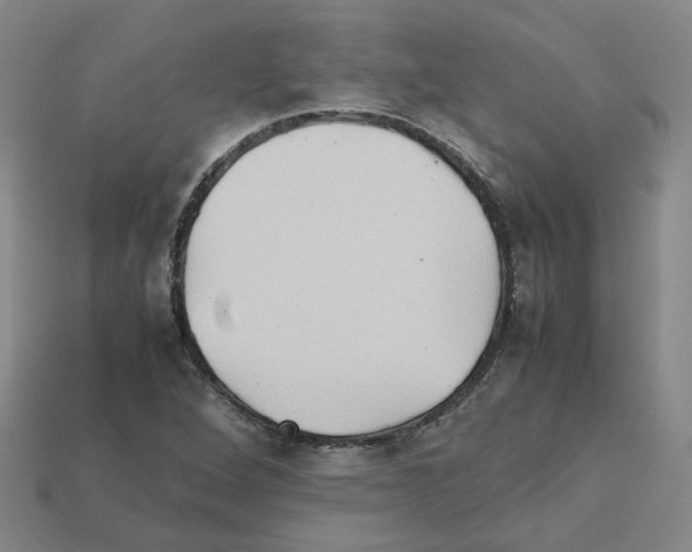 X0000111901264200909071129