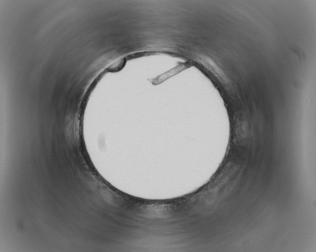 X0000111901268200909071129