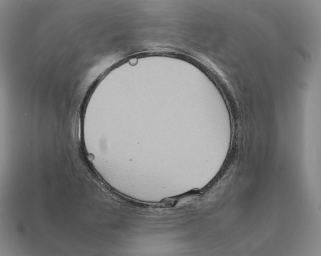 X0000111901269200909071129