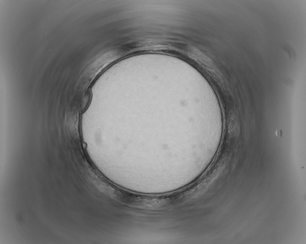 X0000111901273200909071129