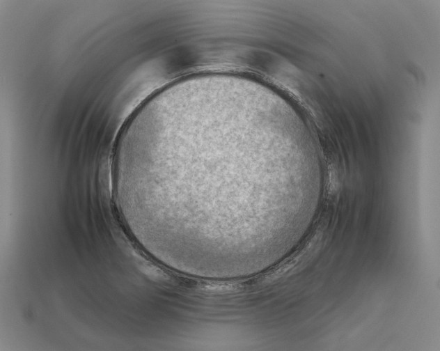 X0000111901274200909071128