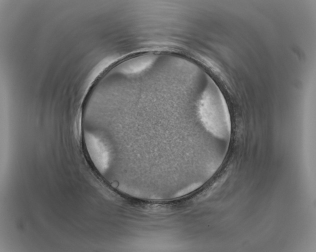 X0000111901275200909071128