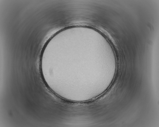 X0000111901277200909071128