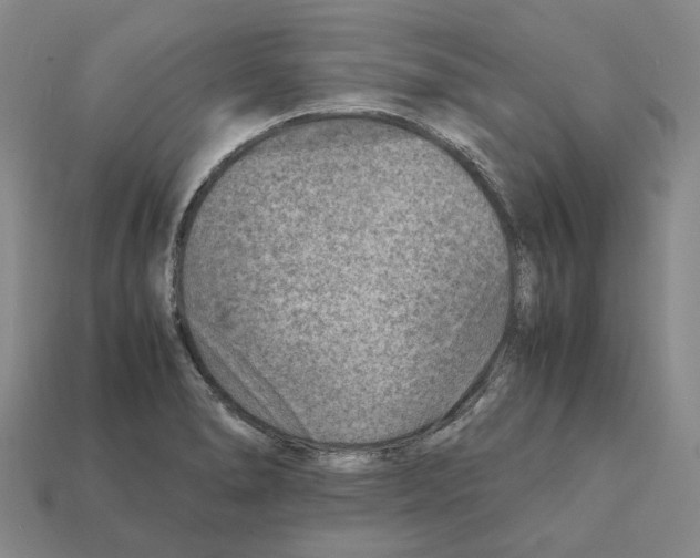 X0000111901278200909071128