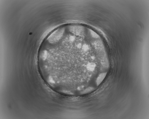 X0000111901279200909071128