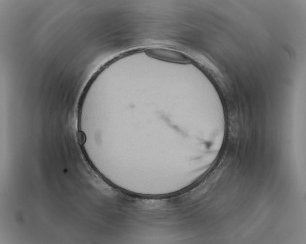 X0000111901280200909071128