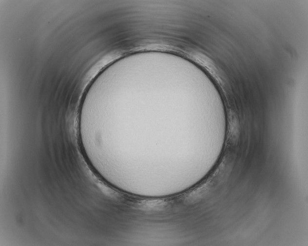 X0000111901282200909071128