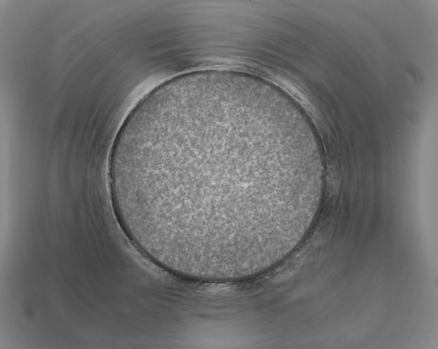 X0000111901283200909071128