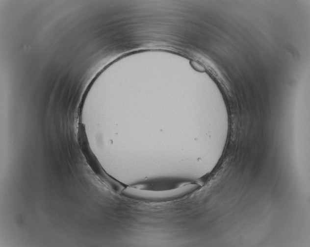 X0000111901284200909071128