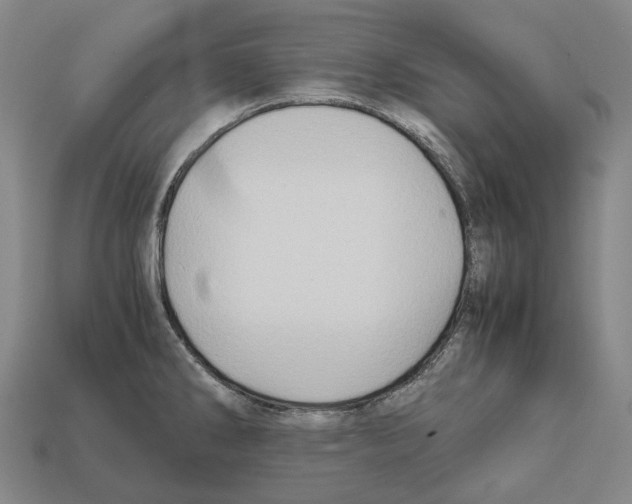 X0000111901286200909071128