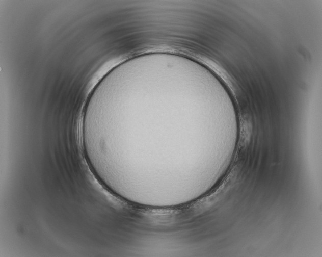 X0000111901290200909071128