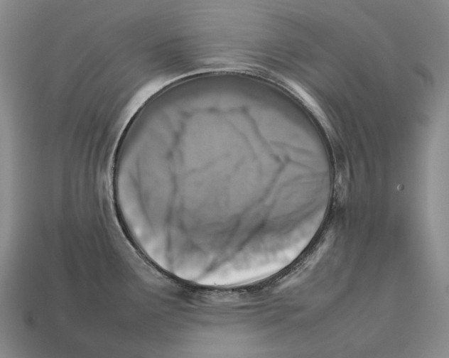 X0000111901291200909071128