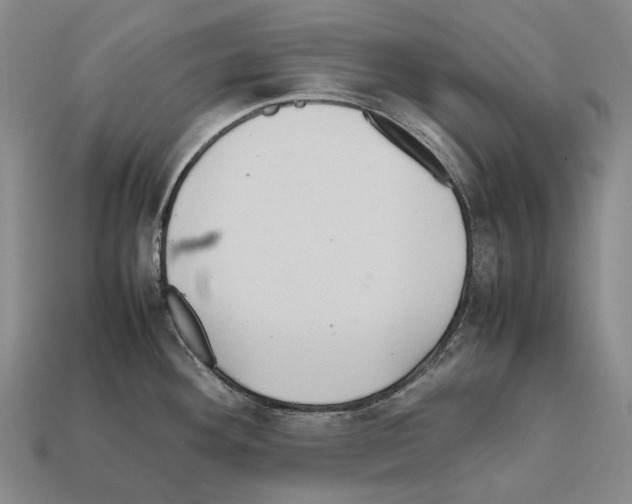 X0000111901292200909071128